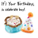 Birthday Boy Must Have Bundle