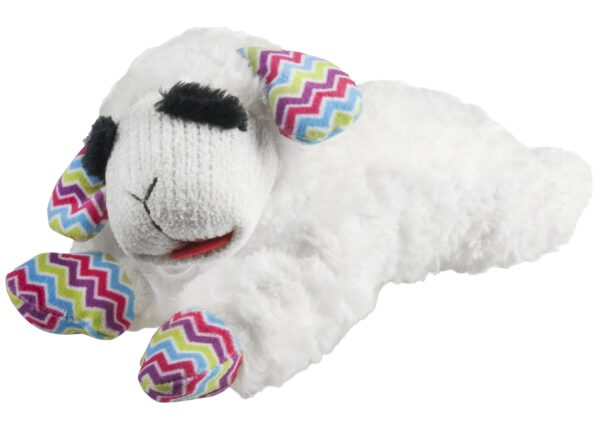 Spring Lamb Chop Toy